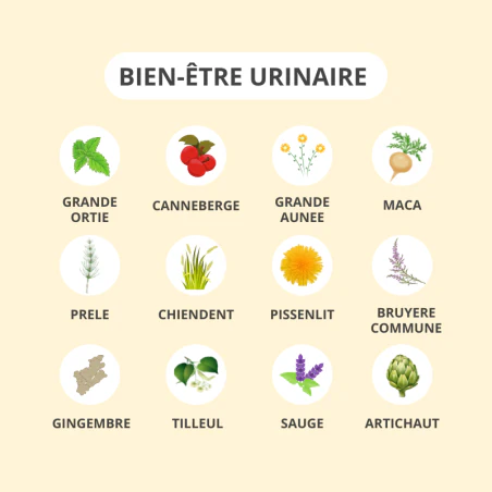 ACTIVA Bien-Être Urinaire Complément Confort Urinaire Cranberry - Image 2
