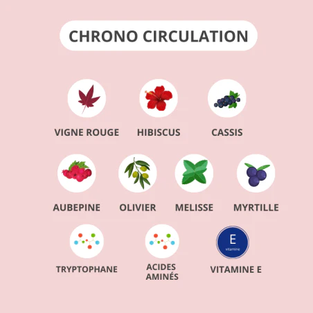 ACTIVA CHRONO Circulation 15 Gélules Complément Alimentaire Jambes Légères Circulation Veineuse - Image 3