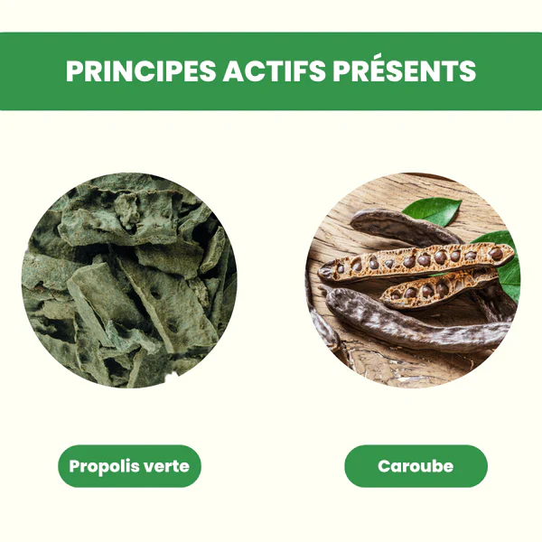 ALVEOLYS Propolis Verte du Brésil 60 Gélules Artepilline C Immunité Défenses Naturelles Antibactérien Antiviral Cure 60 Jours - Image 3