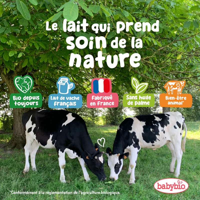 BABYBIO Primea 3 Lait Croissance 800g Bio 3ème Âge 10 Mois et Plus Lait Infantile - Image 4