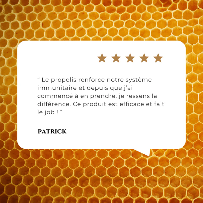 BELLE & BIO Propolis Bio 120 Gélules Complément Alimentaire Immunité Défenses Naturelles Antioxydant - Image 2