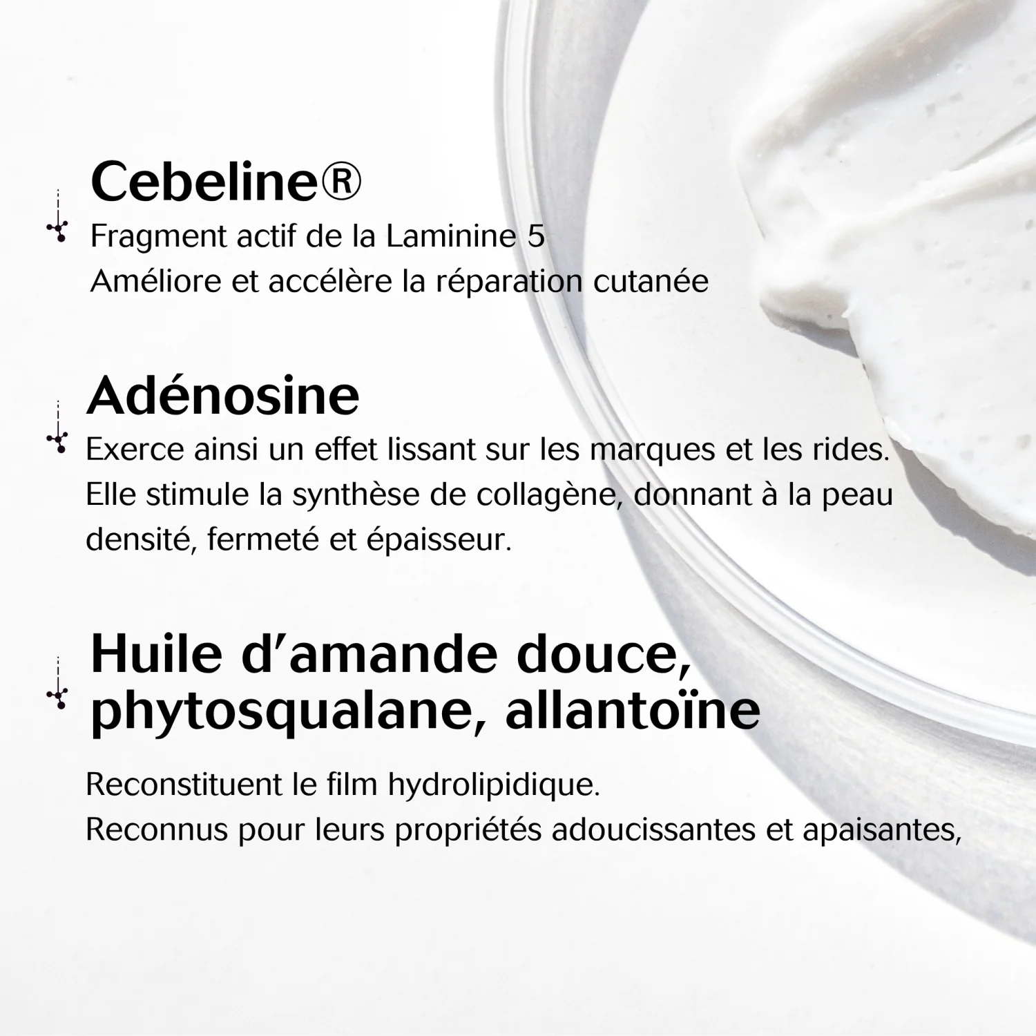 CEBELIA Anti-Age Intensif 30ml Sérum Anti-Rides Raffermissant Éclat Visage Cou Décolleté - Image 4