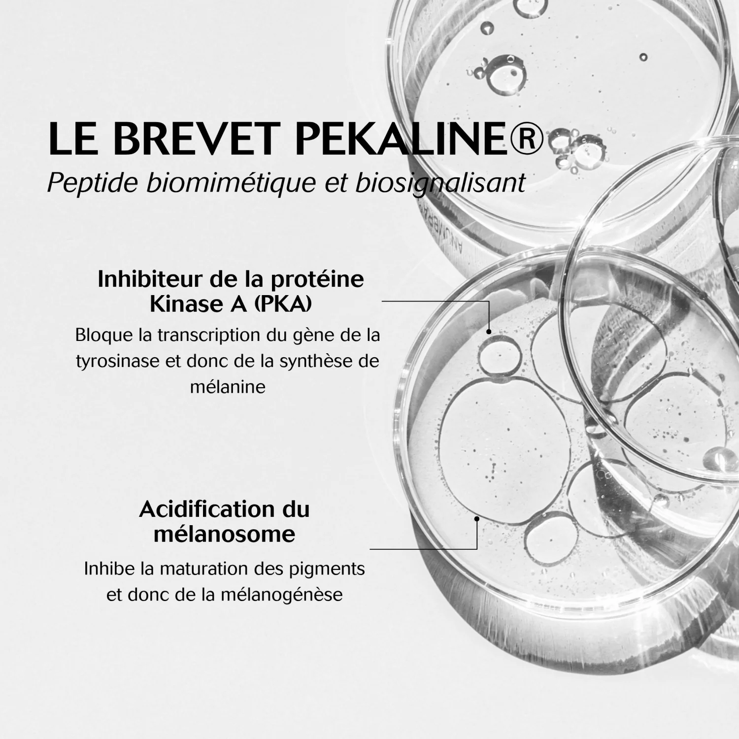 CEBELIA Crème Dépigmentante Intime 30ml Éclaircissante Zones Intimes Anti-Taches Unifie Teint - Image 4