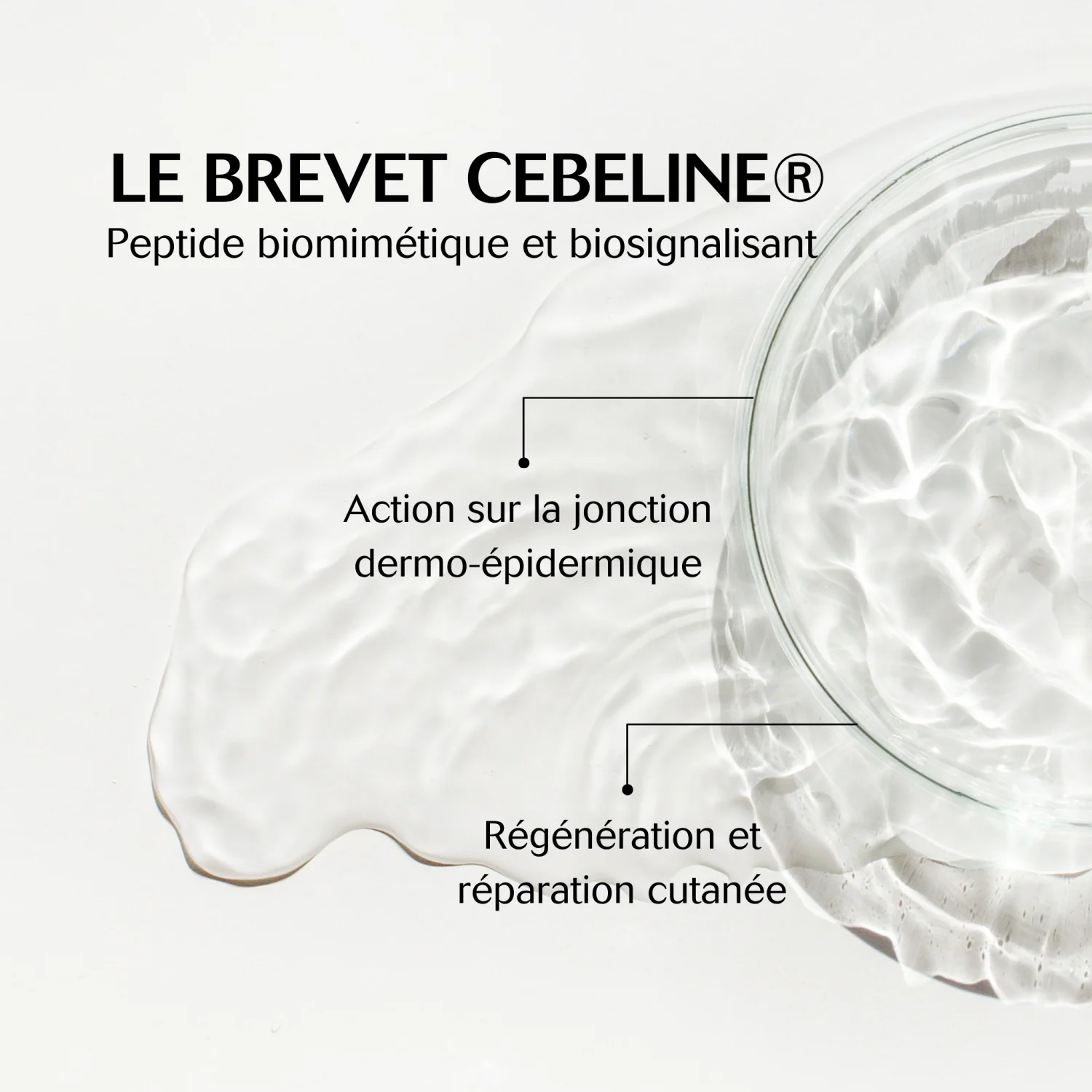 CEBELIA L.C.E Regard Contour Yeux 1.6ml Soin Maquillage 2-en-1 Anti-Cernes Anti-Poches - Image 3