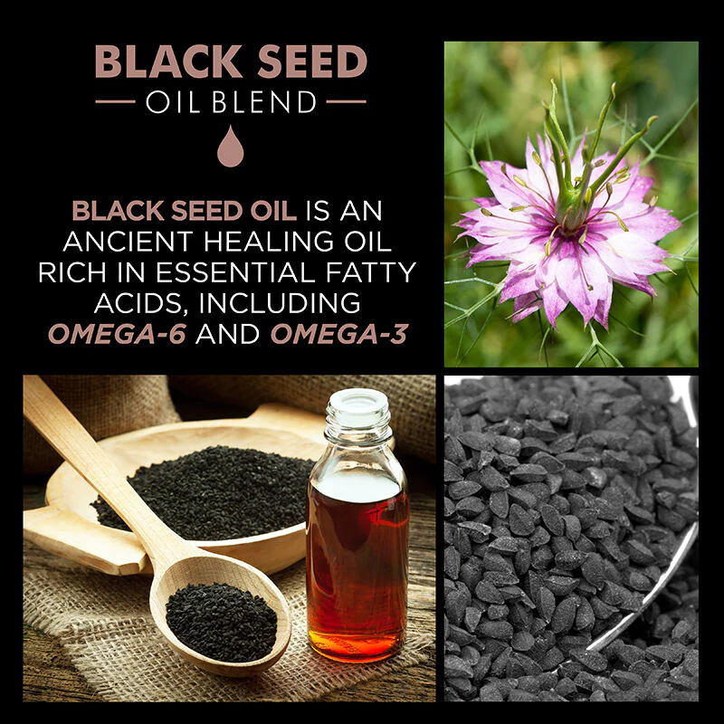 CHI Luxury Black Seed Oil Crème Brushing 177ml Crème Coiffage Séchage Protection Chaleur - Image 6