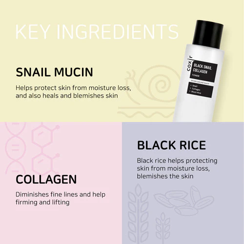 COXIR Black Snail Collagen Toner 150ml Tonique Hydratant Anti-Âge Bave Escargot Collagène Régénérant K-Beauty - Image 2