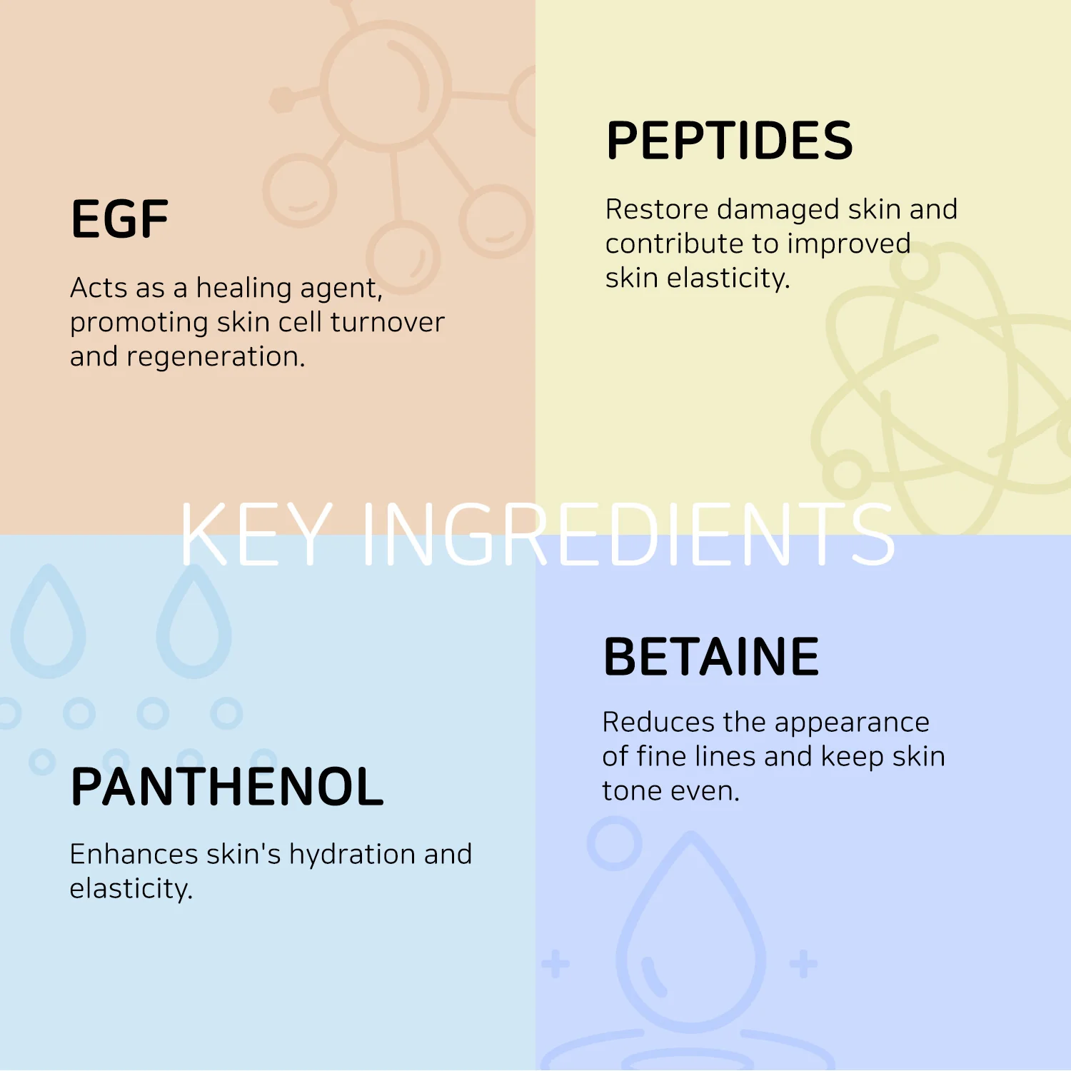 COXIR Intensive EGF Peptides Serum 50ml Sérum Anti-Âge Régénérant Facteur Croissance Peptides Rides Fermeté K-Beauty - Image 2