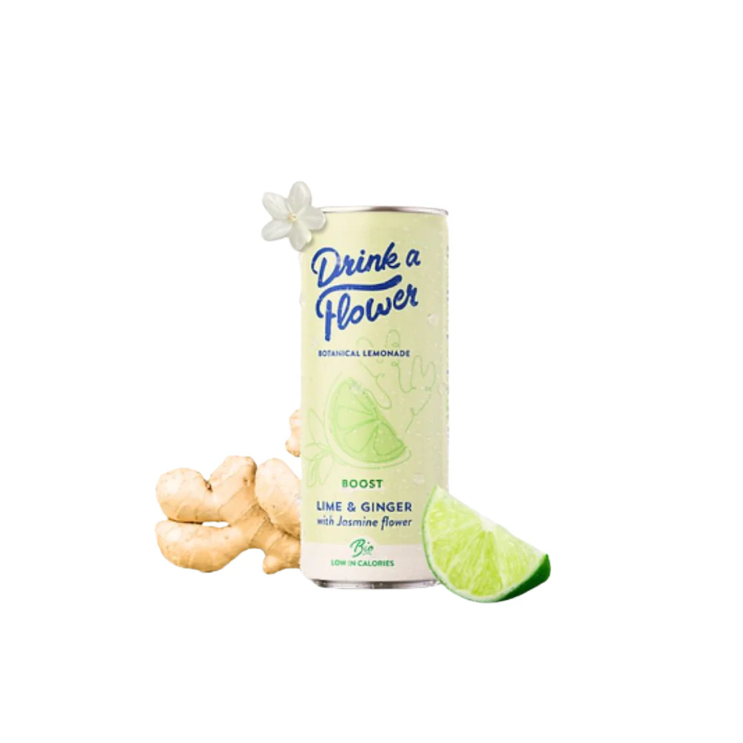Drink a Flower Limonade Botanique Gingembre Citron Vert 250ml Boisson Naturelle Artisanale Rafraîchissante Épicée