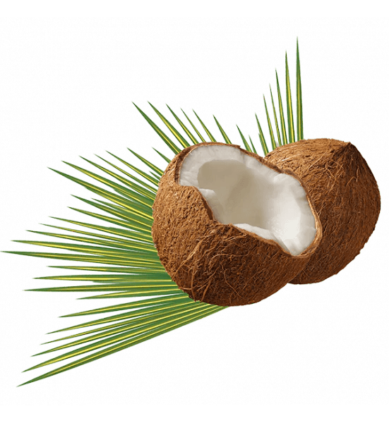 WAAM Huile de Coco 75ml Huile Végétale Pure Soin Visage Corps Cheveux Hydratant Nourrissant Multi-Usage - Image 2
